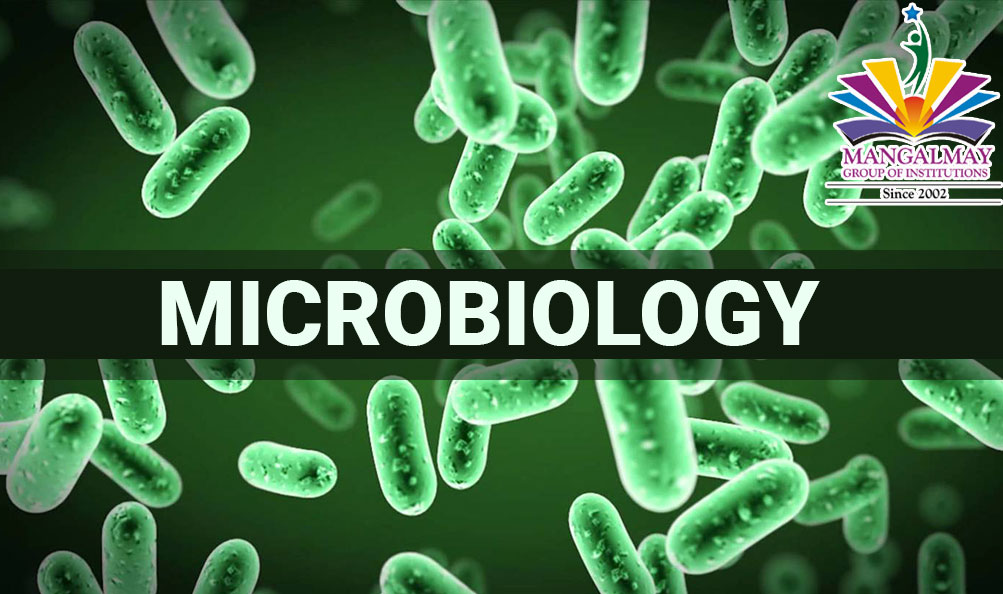 what is micro biology