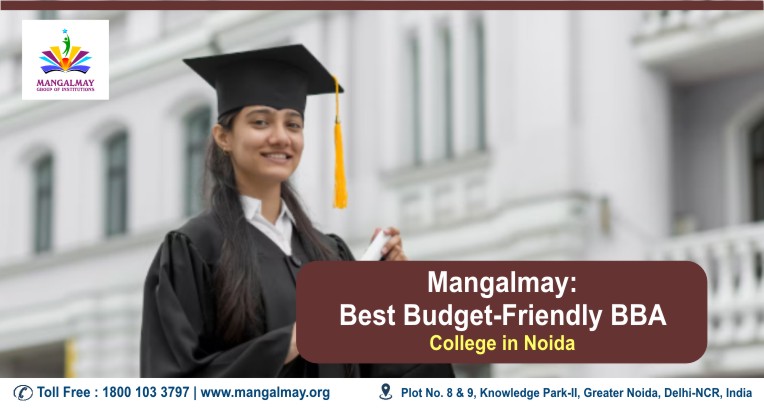 Best Budget Friendly BBA College in Noida